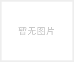 莲花汽车硅胶水管